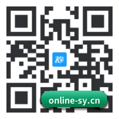 系统版 iOS 二维码